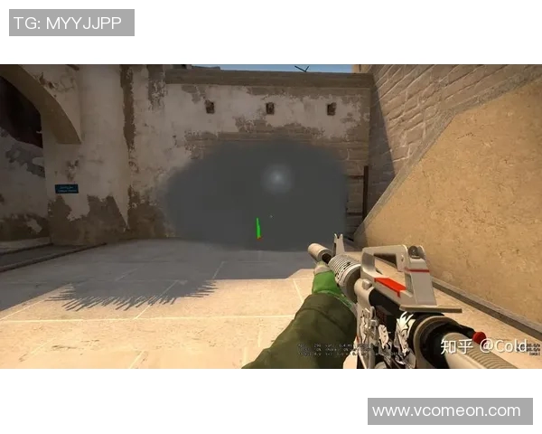 CSGO战术分析:深入探讨WE战队的防守策略与执行细节